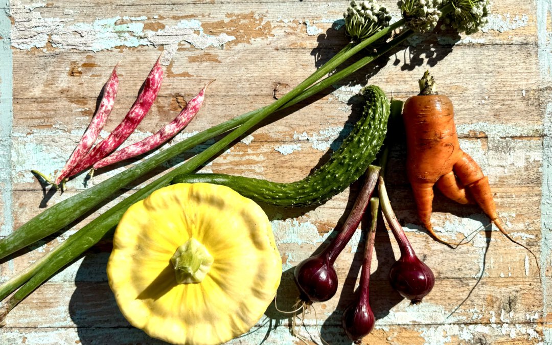 Ayurveda is(s)t frisch und regional – was gilt dabei im Herbst?